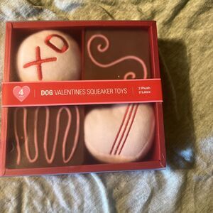 Dog Toys Valentine Squeaker Set Of 4 Toys NEW